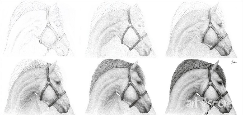 Equus (Horse)