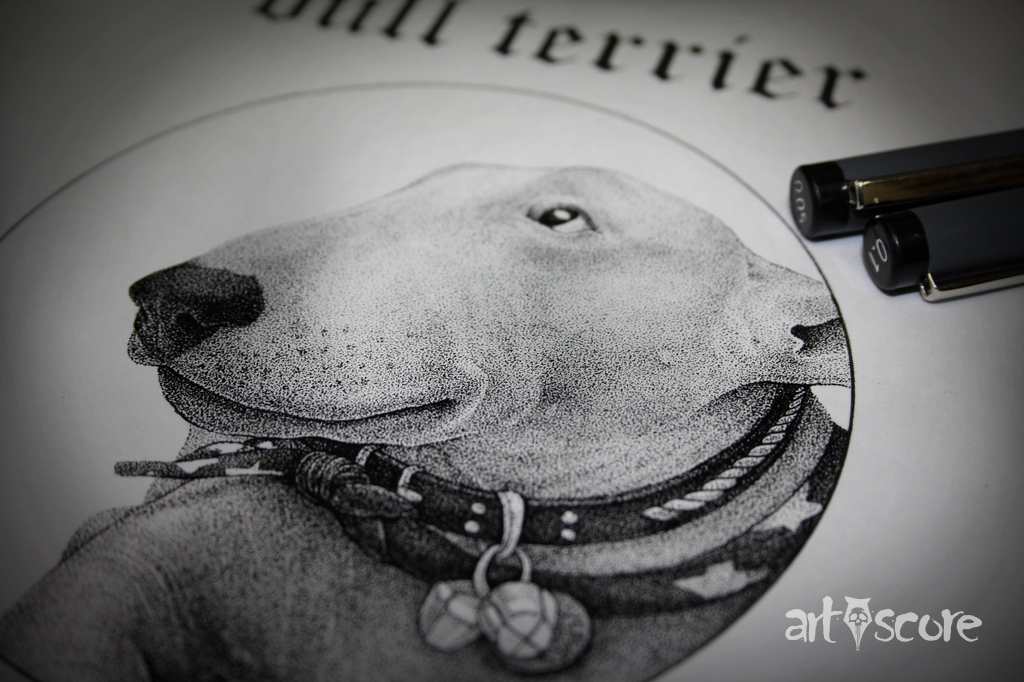 Bull terrier 