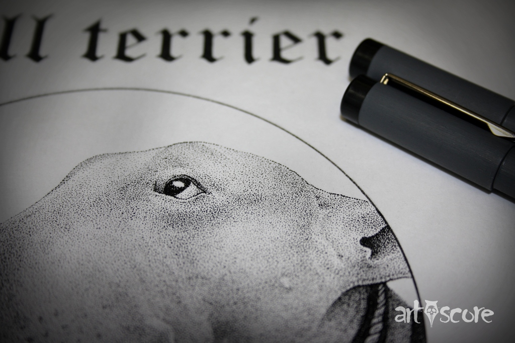 Bull terrier 