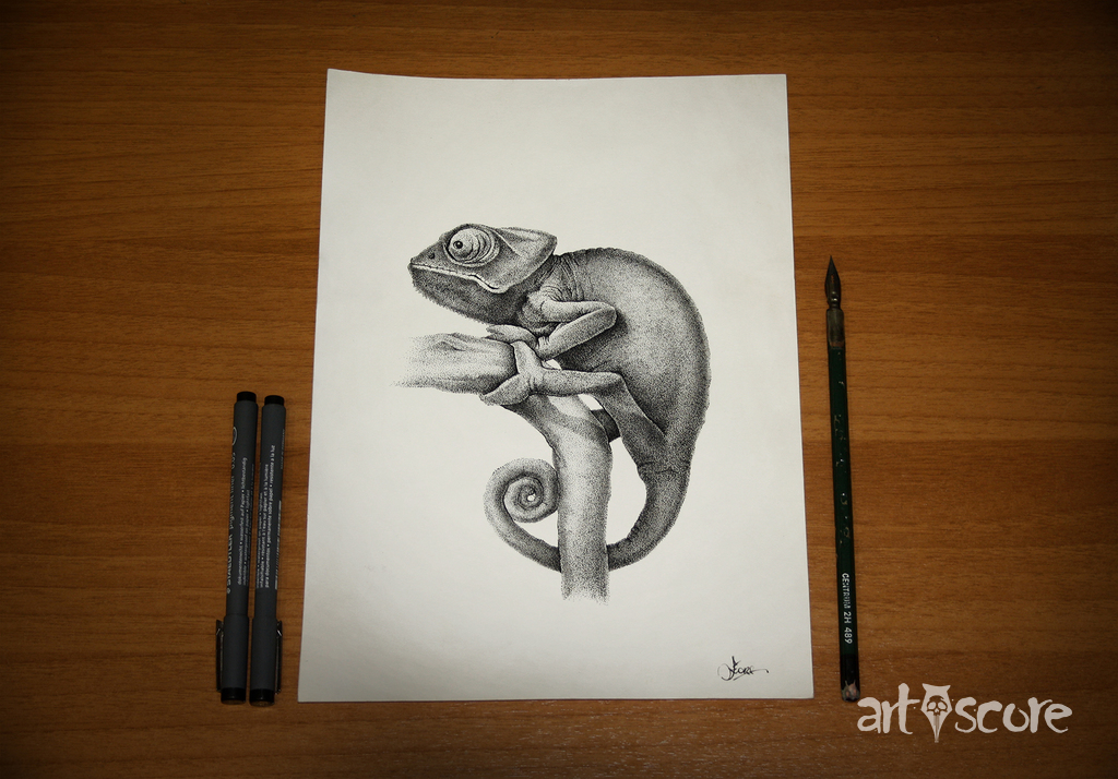 Chamaeleon