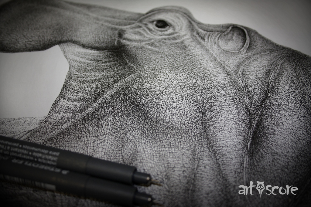 Hippopotamus