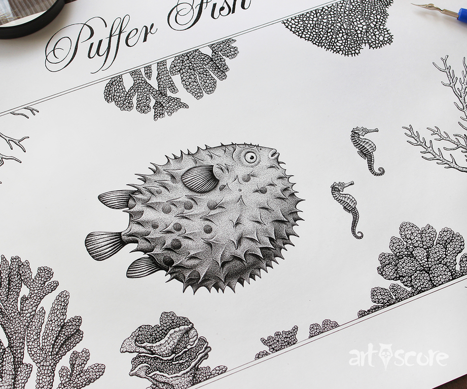 Puffer Fish