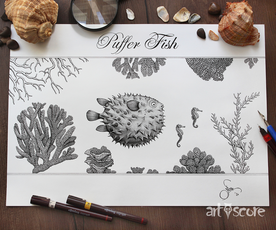 Puffer Fish