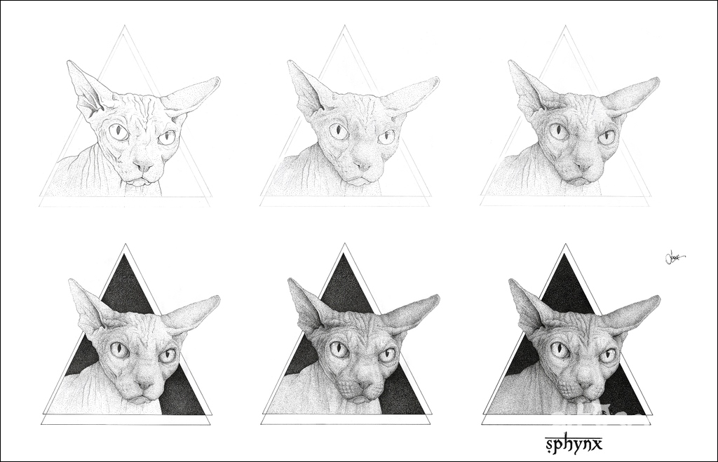 Sphynx