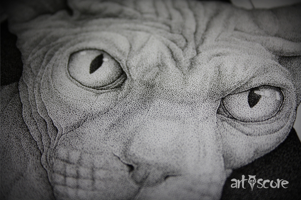 Sphynx
