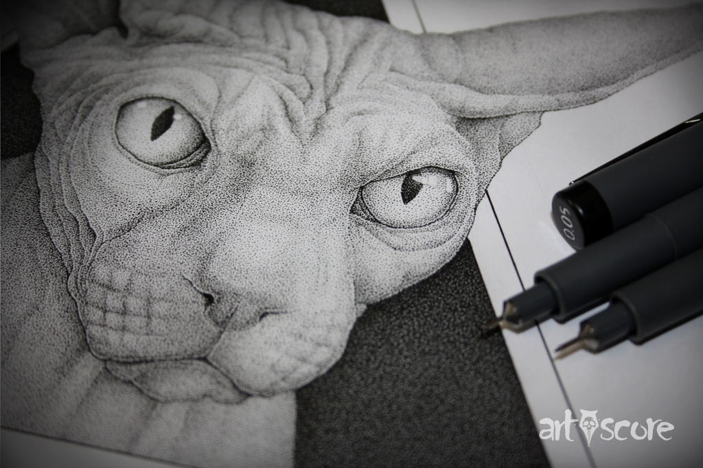 Sphynx