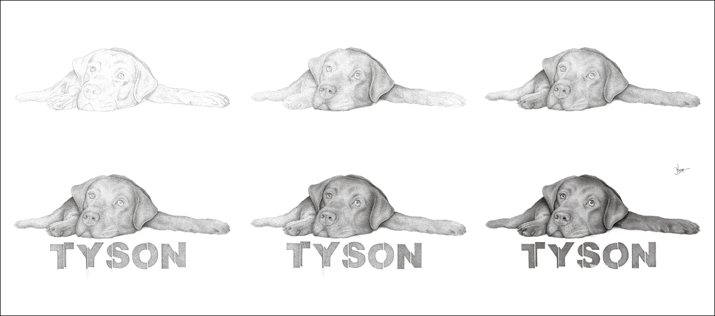 Tyson
